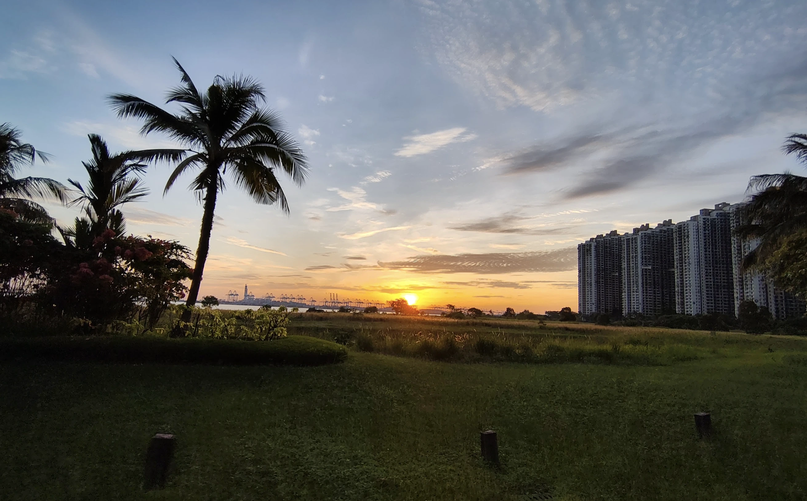 Forest City last sunset